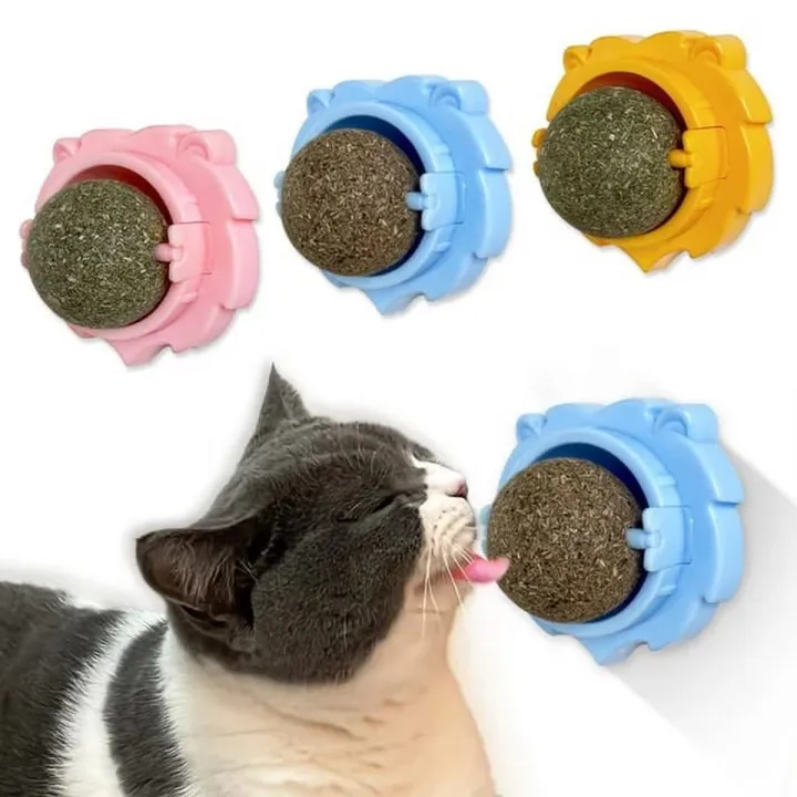 Catnip Ball toy for cats