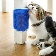 CAT MASSAGER