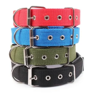 NYLON DOG COLLAR