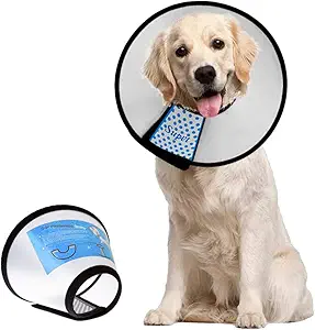 DOG ECOLLARS